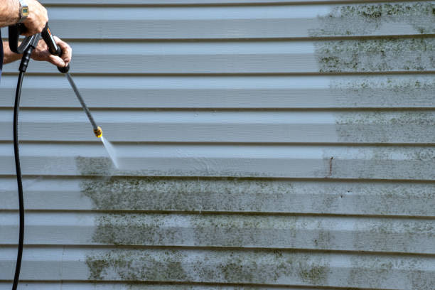 Best Siding Removal and Disposal  in Edmonds, WA